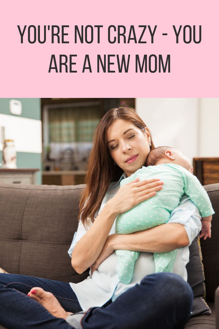 You're Not Crazy - You Are A New Mom