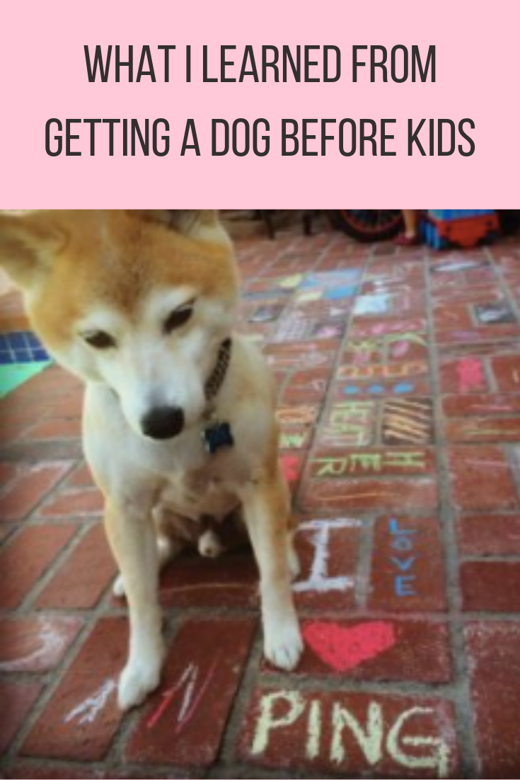 What I Learned From Getting A Dog Before Kids