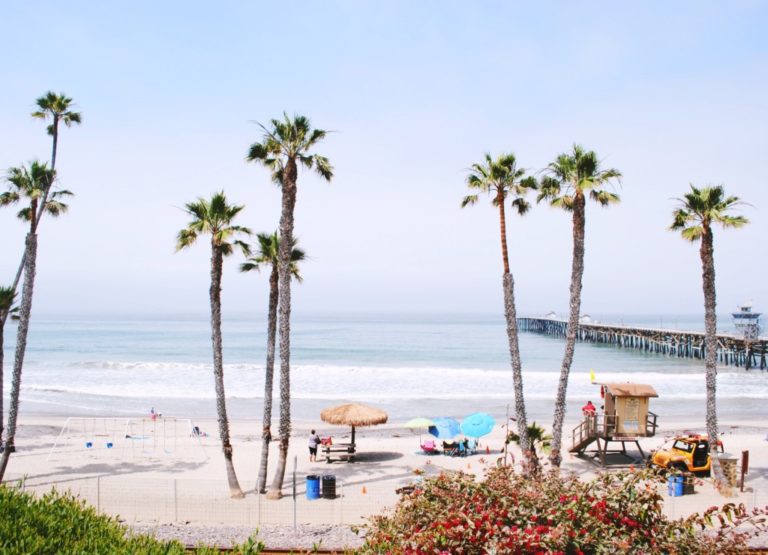 Top 5 Reasons To Fall in Love With Orange County