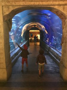 Shark Reef Aquarium Las Vegas with kids