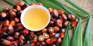 Malasian Palm oil fruit and oil