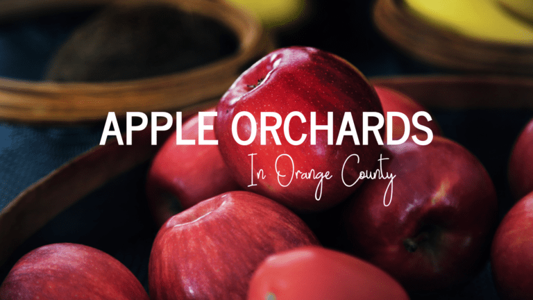 Apple Orchards in Orange County