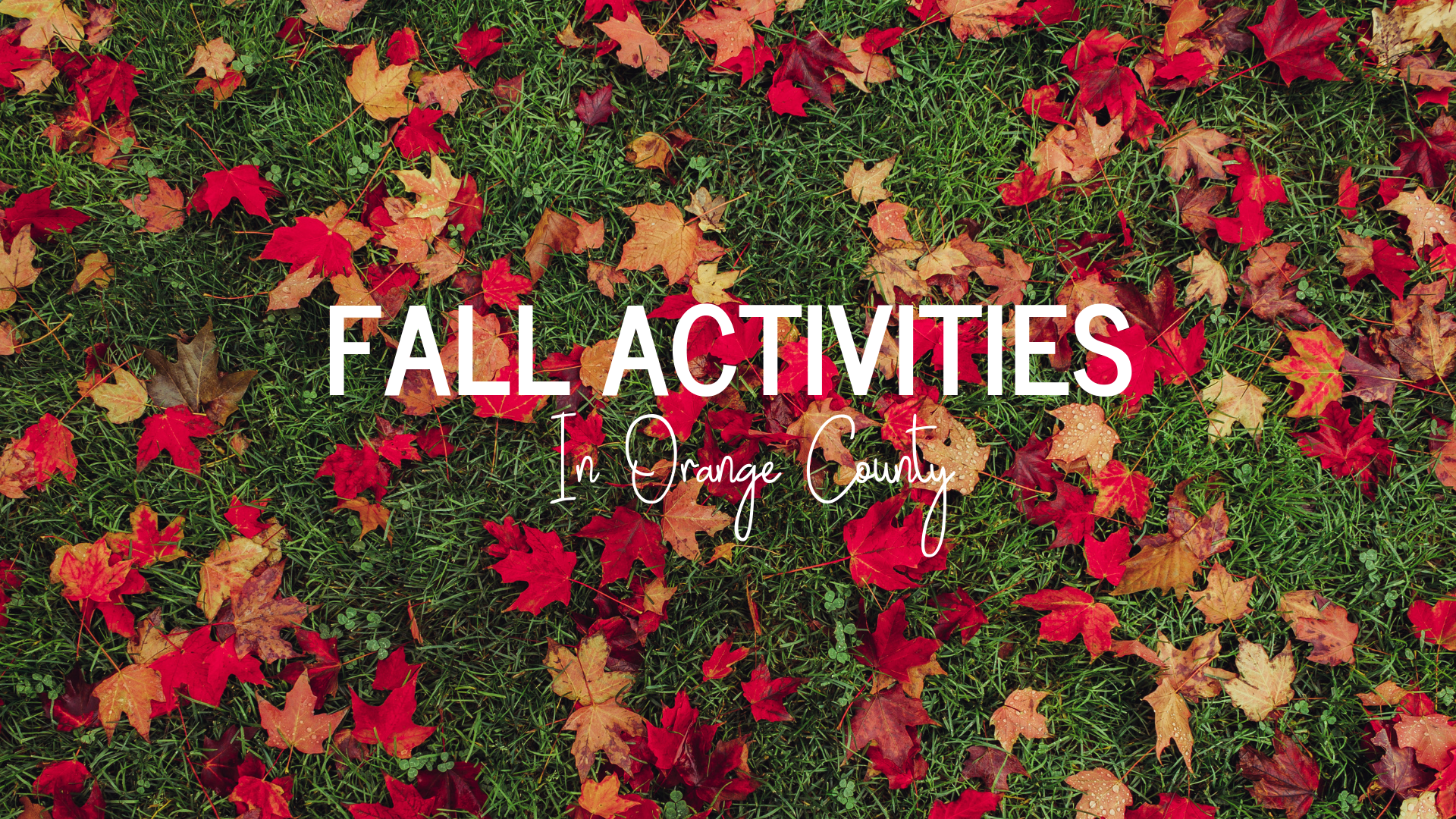 fall activities in orange County
