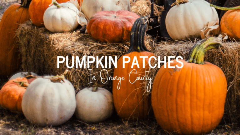 Orange County Pumpkin Patches