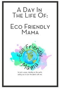 A Day In The Life Of Eco Friendly Mama PIN