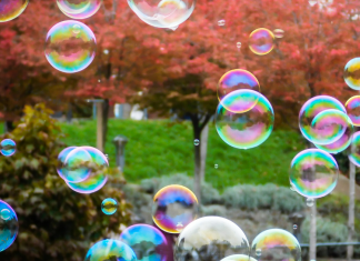 bubbles