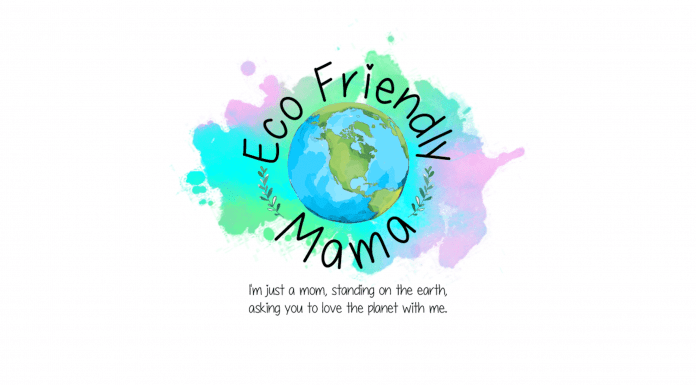 A Day In The Life Of: Eco Friendly Mama