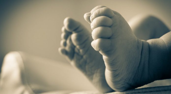 brown-skinned baby