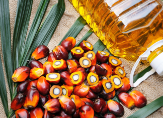 what does palm oil have to do with me?