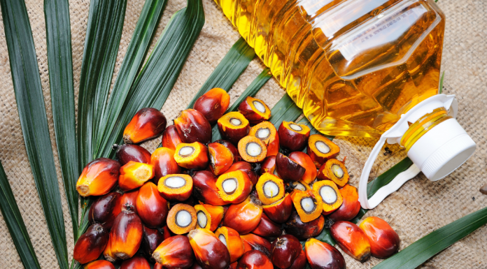 what does palm oil have to do with me?