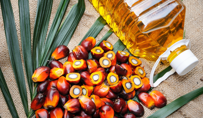 what does palm oil have to do with me?