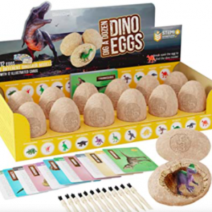 Dino Eggs orange County oc
