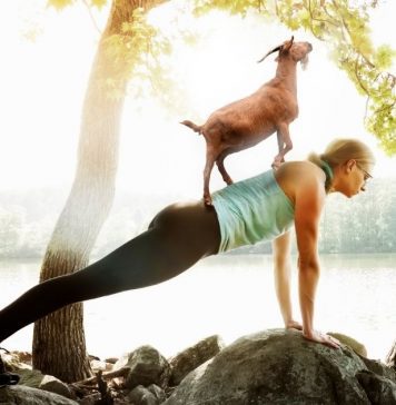 6 Important Life Lessons From Goat Yoga