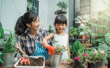 For The Love Of Houseplants: A Busy Mom’s Guide To Plant Parenthood For The Love Of Houseplants: A Busy Mom's Guide To Plant Parenthood