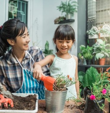 For The Love Of Houseplants: A Busy Mom's Guide To Plant Parenthood