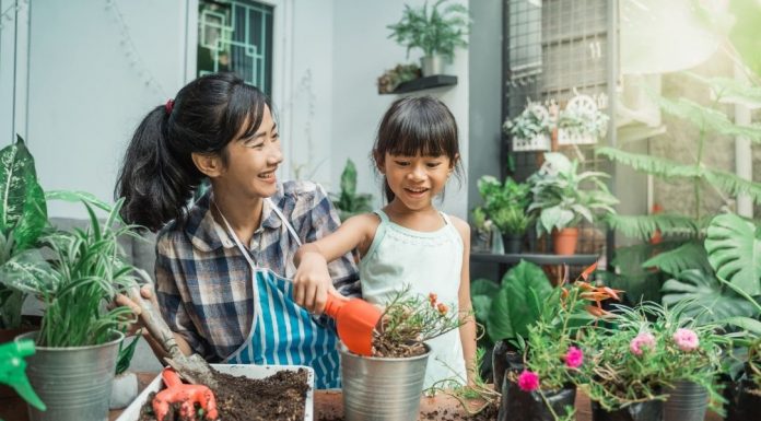 For The Love Of Houseplants: A Busy Mom's Guide To Plant Parenthood