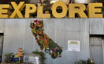 plant lovers guide to the OC Fair