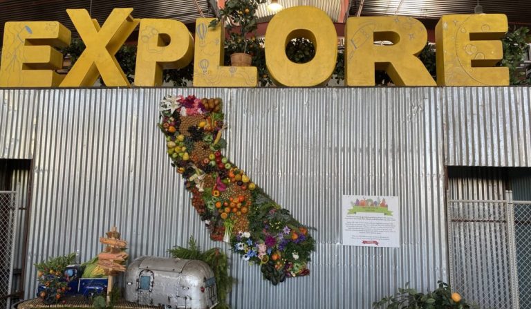A Plant Lovers Guide To “Feel The Sunshine” At The OC Fair!