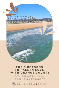 Top 5 Reasons To Fall in Love With Orange County PIN