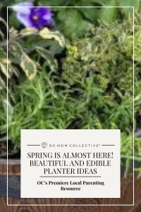 Spring Is Almost Here! Beautiful and Edible Planter Ideas PIN