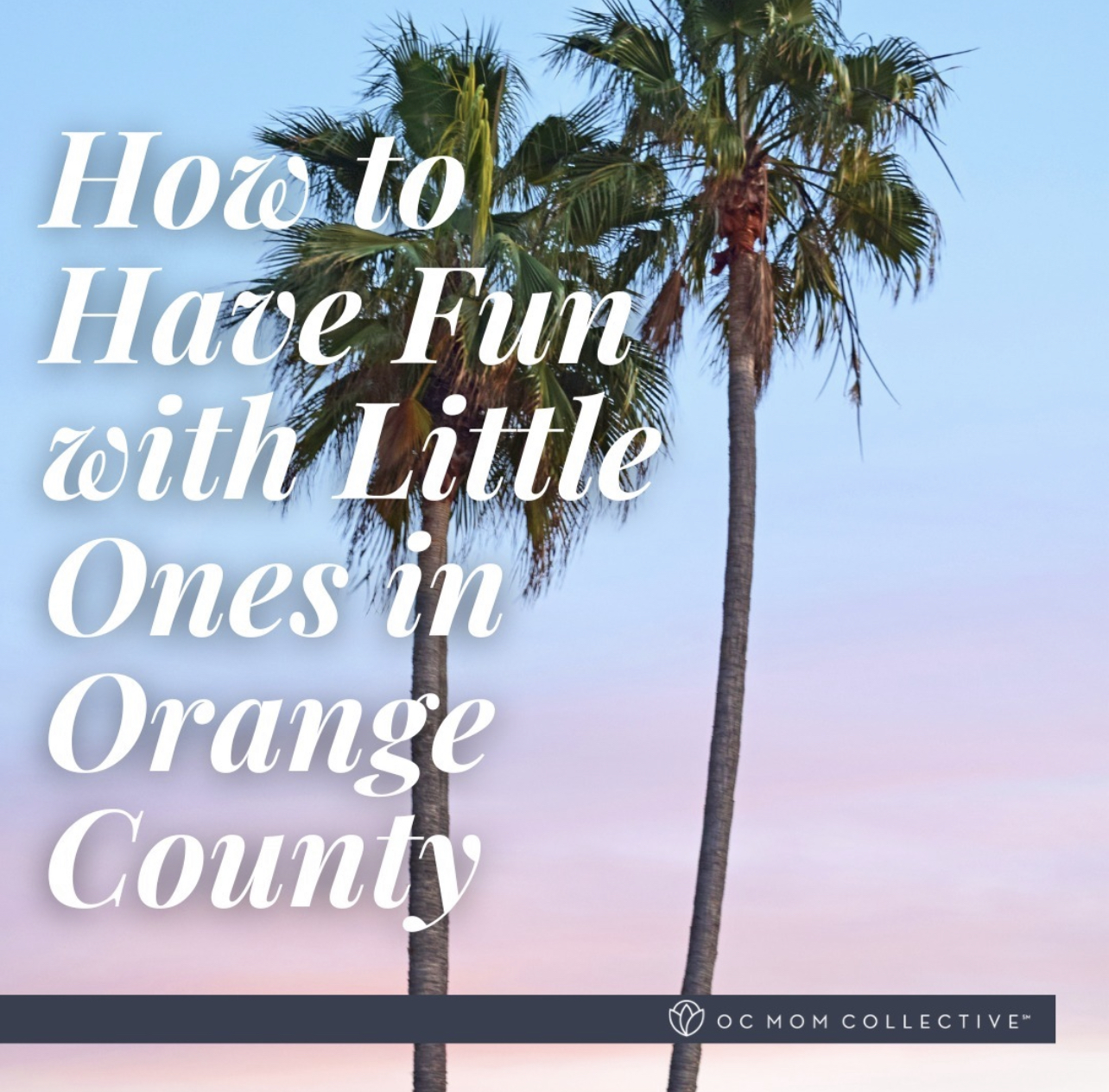 have fun with little ones in orange county