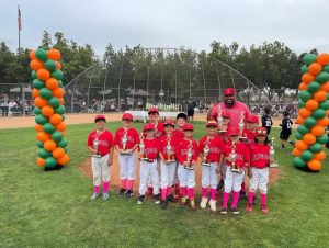 Baseball party for your kids team