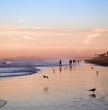 August 2023 events Orange County